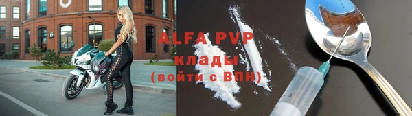 стаф Абаза