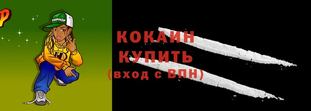 стаф Абаза