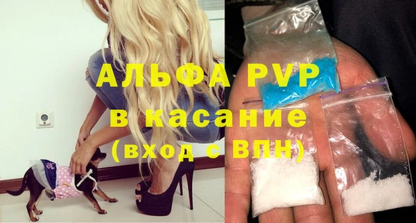 стаф Абаза