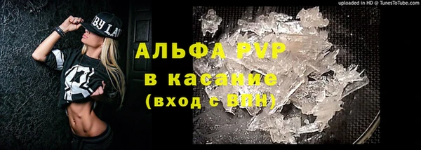 стаф Абаза