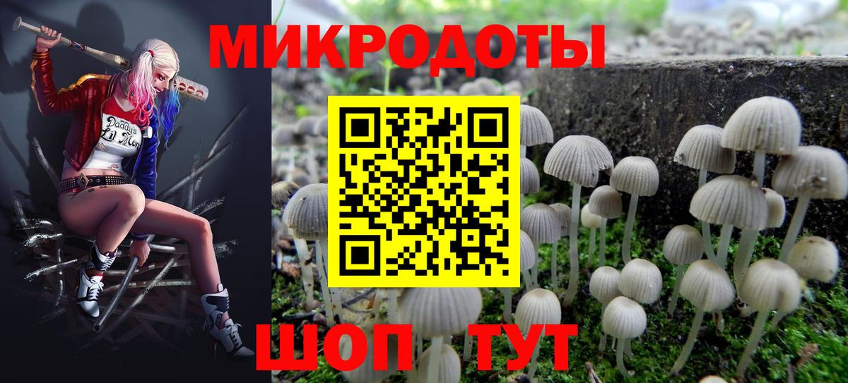 Галлюциногенные грибы GOLDEN TEACHER  Псилоцибиновые грибы Psilocybine cubensis  Вход с VPN  Грозный 
