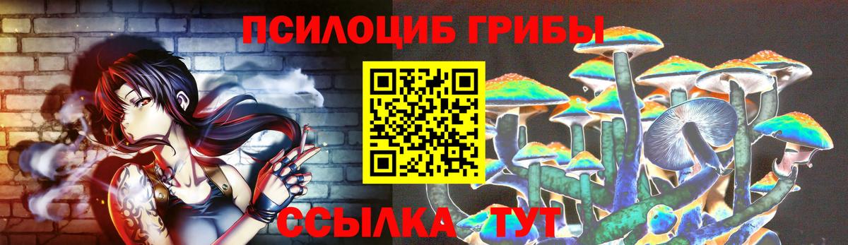 Псилоцибиновые грибы мицелий Грозный